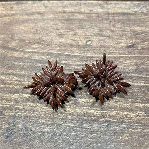Vintage Brown Apple Seed Clip On Earrings